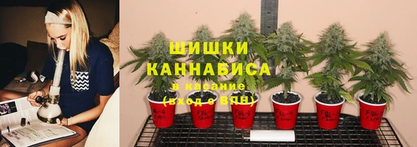 дмт Балабаново