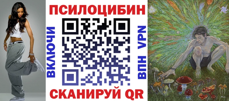 Псилоцибиновые грибы Psilocybe  закладка  Райчихинск 